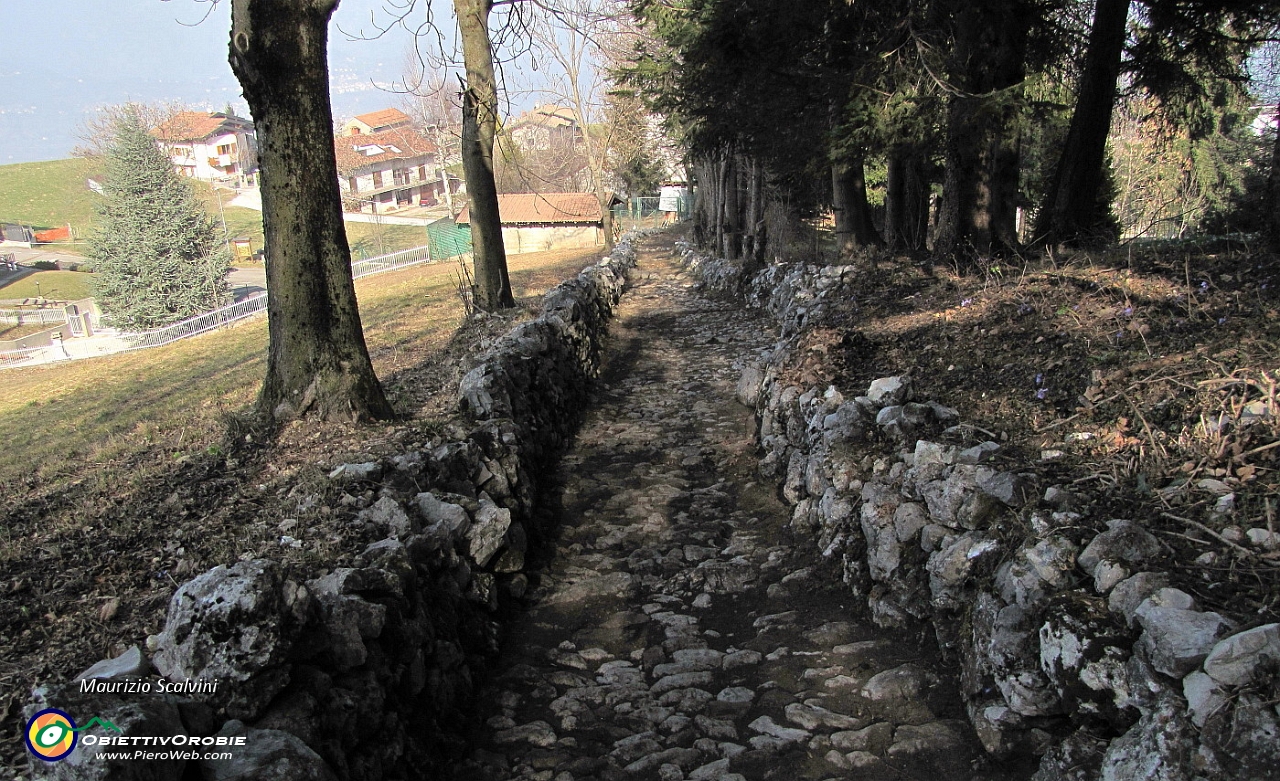 65 Ultimi metri prima di Roncola alta....JPG